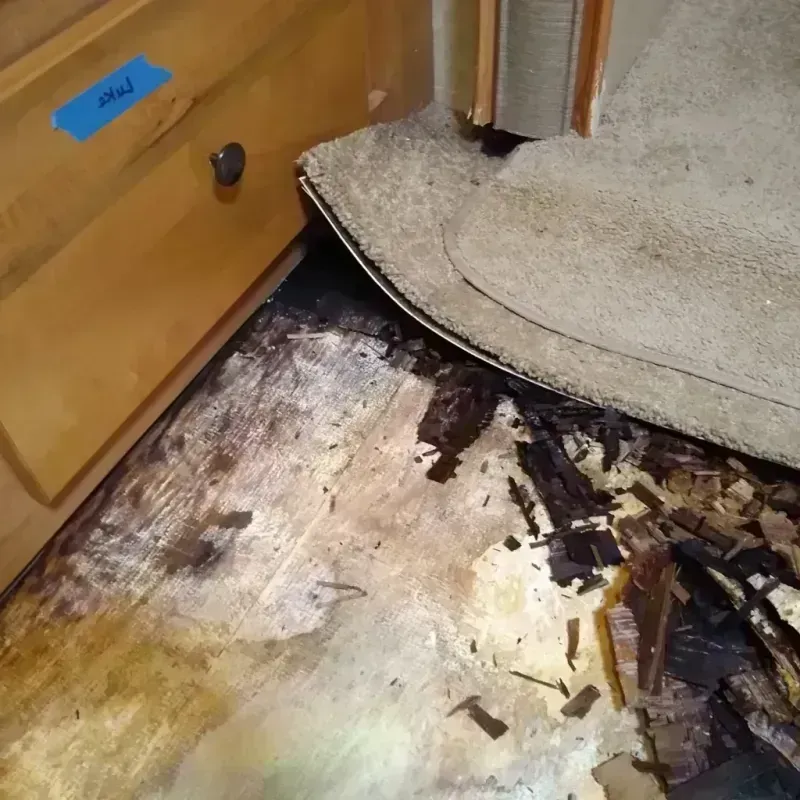 Wood Floor Water Damage in Nacogdoches County, TX